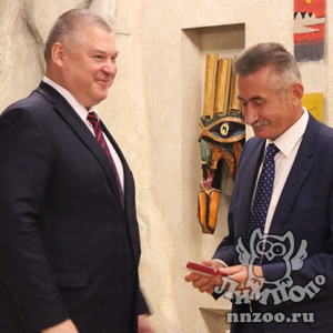 Директор зоопарка «Лимпопо» получил награду от имени Президента РФ