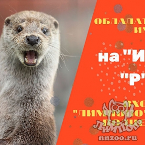 Обладатели имен на «И» и «Р» смогут посетить зоопарк «Лимпопо» за полцены!