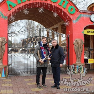Главный тренер ХК «Торпедо» приехал в нижегородский зоопарк «Лимпопо» к живому символу хоккейного клуба