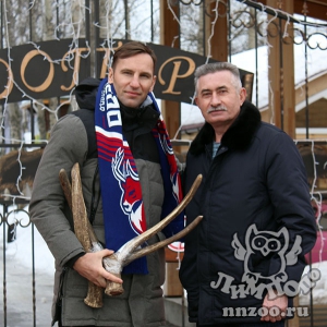 Главный тренер ХК «Торпедо» приехал в нижегородский зоопарк «Лимпопо» к живому символу хоккейного клуба