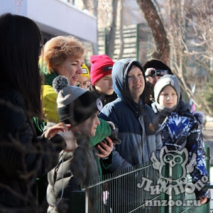 Ученики лицея №82 побывали с профориентационной экскурсией в нижегородском зоопарке «Лимпопо»