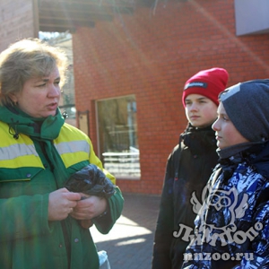 Ученики лицея №82 побывали с профориентационной экскурсией в нижегородском зоопарке «Лимпопо»