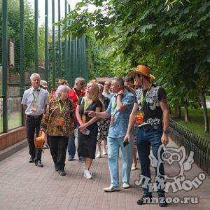 Седьмой Всероссийский съезд Союза зоопарков и аквариумов России прошел в зоопарке «Лимпопо»