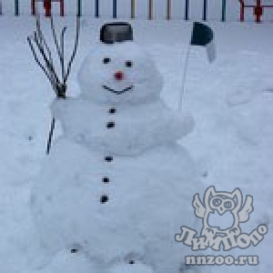 В "Лимпопо" выбрали лучшего снеговика