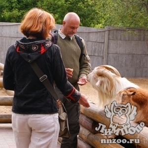 Руководители четырех Чешских зоопарков посетили "Лимпопо"
