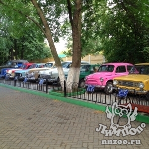 Два кабриолета пополнили коллекцию ретро-автомобилей на территории "Лимпопо"