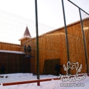 Вольер для подаренных зоопарку орлов-могильников строится в "Лимпопо"