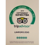 Сайт TripAdvaser вновь отметил зоопарк "Лимпопо" сертификатом качества