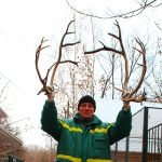 Северный олень Иртыш установил рекорд в зоопарке «Лимпопо»