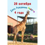20 октября празднуем День Рождения жирафа Радуги!
