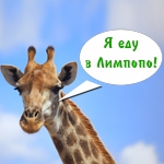 Жираф поселится в зоопарке "Лимпопо"!