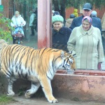 Посещение зоопарка "Лимпопо" для пенсионеров 1 октября будет бесплатным!