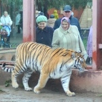 Более 1800 пенсионеров побывали в зоопарке 1 октября