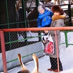 Акция "Материнское сердце" состоится в зоопарке "Лимпопо"