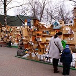 Птицы Нижегородской области получат доступное жилье