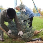Ветераны завода посадили деревья в "Лимпопо"